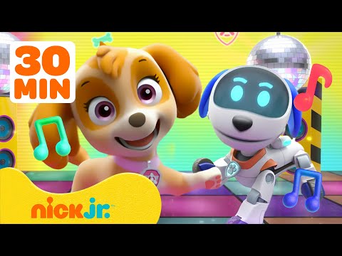 PAW Patrol Skye's Music Party! #3 🐾💃 30 Minutes | Nick Jr. Music