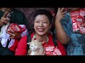 Cat lover runs in election for Indonesia animal rights | REUTERS