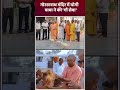 CM Yogi Gau Seva : Gorakhnath Mandir में योगी  बाबा ने की गौ सेवा | #indiatv #shorts  - 01:00 min - News - Video