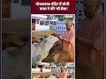 CM Yogi Gau Seva : Gorakhnath Mandir में योगी  बाबा ने की गौ सेवा | #indiatv #shorts