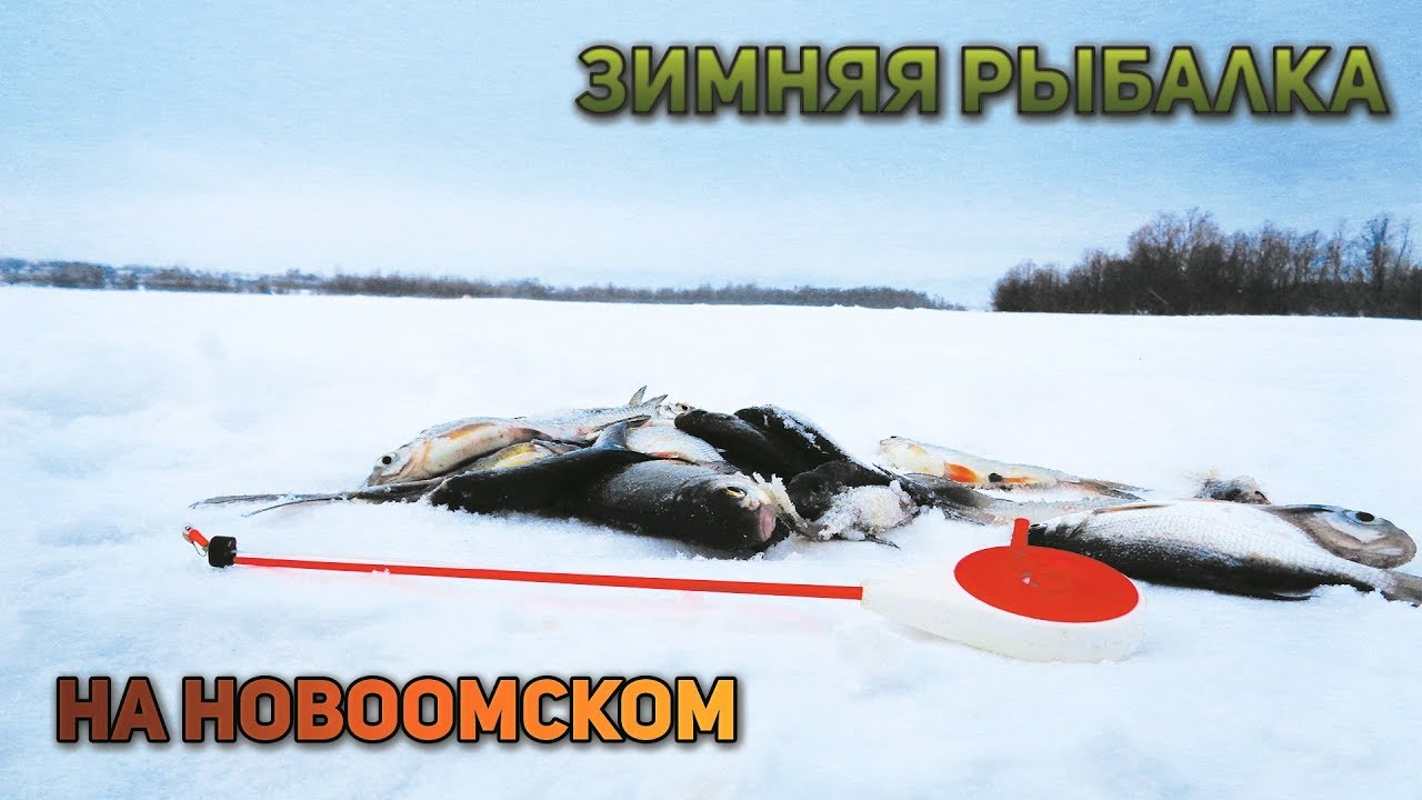Прогноз клева для рыболовов - Исилькуль