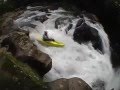 pyrenees' buddies spend good time in Costa Rica!