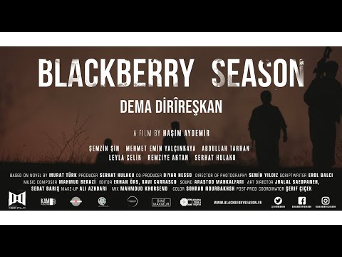 Blackberry Season'