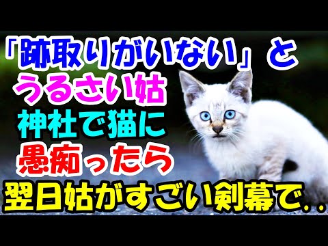 跡取りがいない とうるさい義母 神社の猫に愚痴を言ったら 任せて と言われ 翌日義母がすごい剣幕で 猫の不思議な話 朗読 まとめちゅーぶ