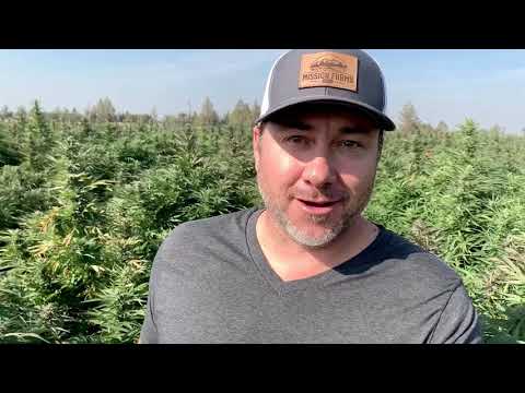 video Mission Farms CBD – Relieve CBD Joint and Muscle Gel
