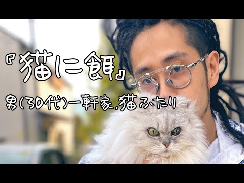 【猫に餌】男(30代)一軒家,猫ふたり