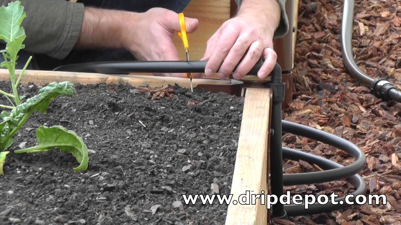 how-to-install-a-drip-irrigation-system-in-raised-beds-youtube