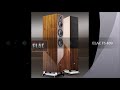 ELAC FS409 & Lindemann musicbook