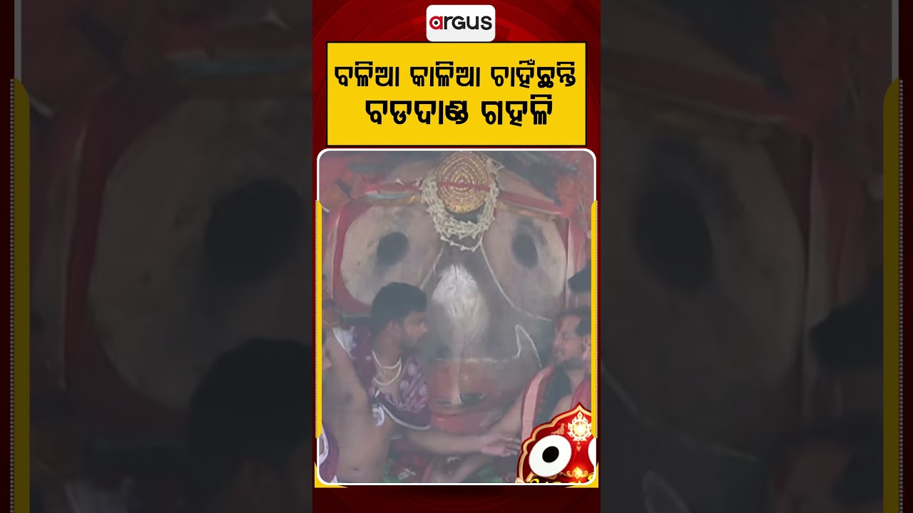 Balia Kalia Gaze At Bada Danda Crowd: Divine Darshan Of Lord Jagannath From Chariot | Argus News