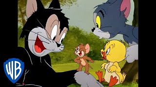 Tom a Jerry - nejlepší vedlejší postavy