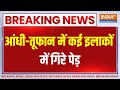 Breaking News: आंधी-तूफान में कई इलाकों में गिरे पेड़ | Weather Update | Storm | Delhi NCR