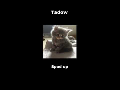 tadow sped up (TikTok)