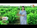 Farmer Success Story |Earning Profits with Jasmine Cultivation | మల్లె తోటతో లాభాలు గడిస్తున్న రైతు  - 04:15 min - News - Video