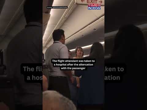 Passenger assaults United Airlines flight attendant, viral video