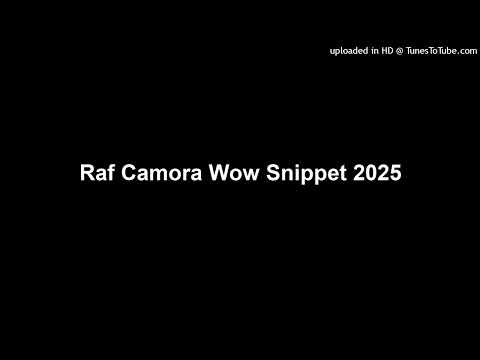 Raf Camora Wow Snippet 2025