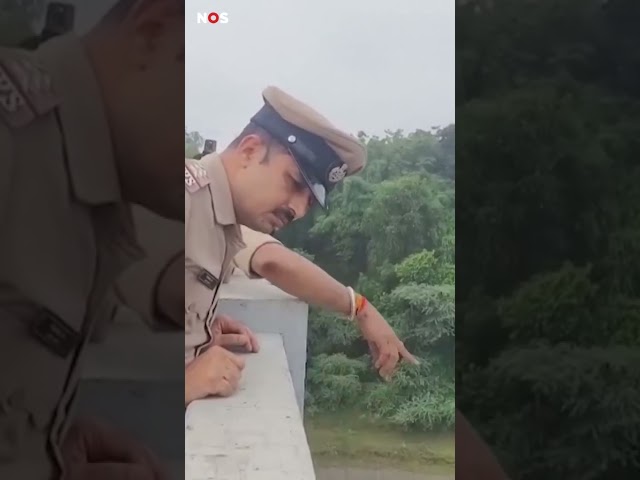 Brug stort in, meerdere doden