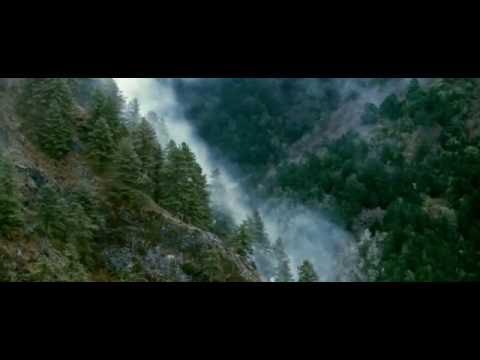 Monsters in the Woods'