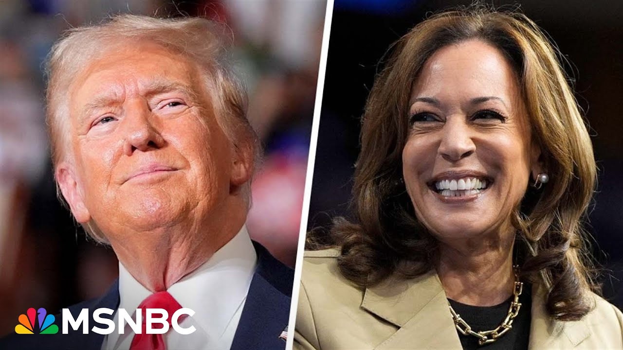 Trump's base is 'shrinking' as Harris has 'changed the map' of 2024 election