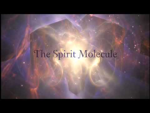 DMT: The Spirit Molecule'