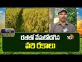రబీలో వేసుకోదగిన వరి రకాలు | New Paddy Crop Suitable For Rabi | Matti Manishi | 10TV