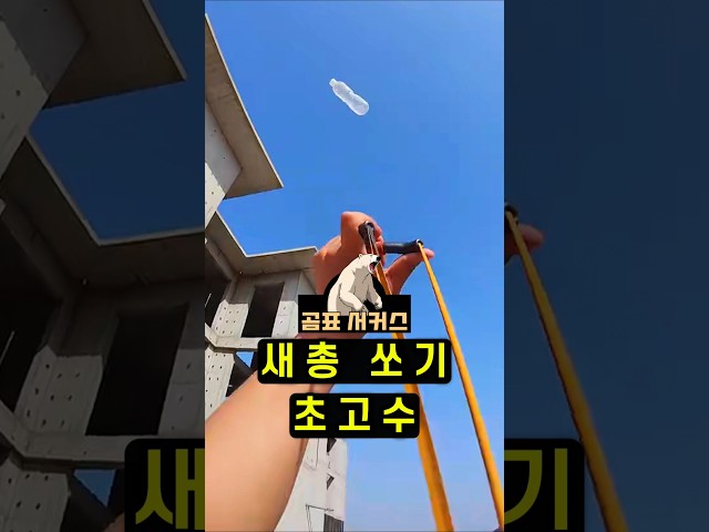 이게 그냥 새총? 나무까지 쪼개는 자전거 고무로 만든 무기