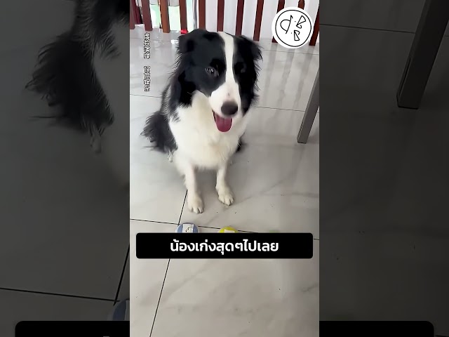 น้องเก่งสุดๆไปเลย