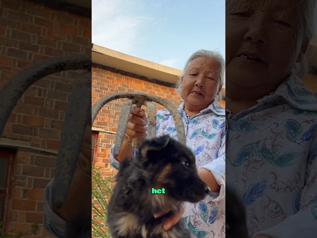 Houten kam voor oma's puppy 🐶❤️ Met liefde gemaakt