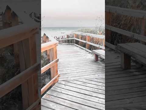 宿泊施設による動画