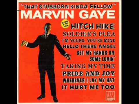 Stubborn Kind Of Fellow (Album Version / Stereo)