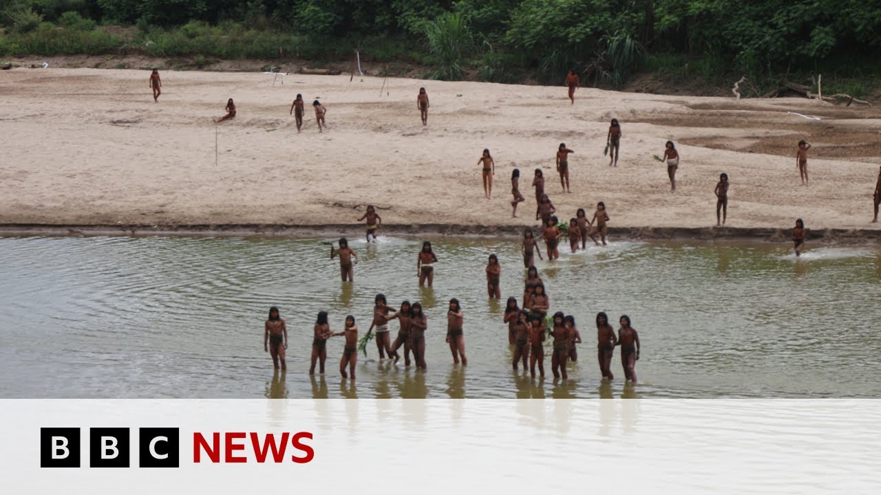 'Brothers in the forest' - the fight to protect an isolated Amazon tribe | BBC News