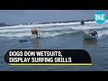 Watch: World dog surfing championships kick off in Pacifica, California