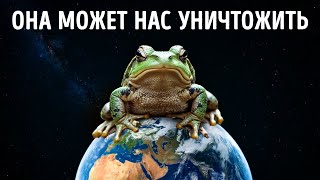 Остерегайтесь зверя, который может погубить наш мир