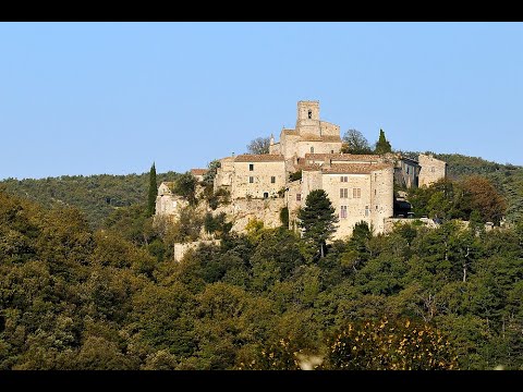 Property video