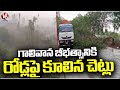 Hyderabad Rain Updates : Trees Falls On Road Due To Storm At LB Nagar | V6 News