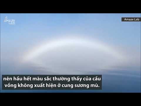 video-thi-nghiem-ao-vat-ly