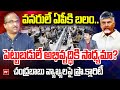 వనరులే ఏపీకి బలం..పెట్టుబడులే అభివృద్ధికి సాధ్యమా? Prof On CM Chandrababu Comments | 99TV