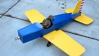 松鼠偷開飛機