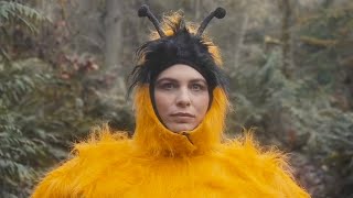 The Head and the Heart - "Honeybee" Official Music Video