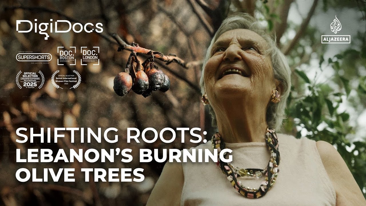 Shifting Roots: A Lebanese woman’s fight to save her olive trees | DigiDocs