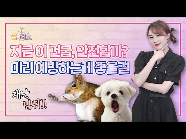 매의 눈 레이더 발동! 다 지켜줄 거야