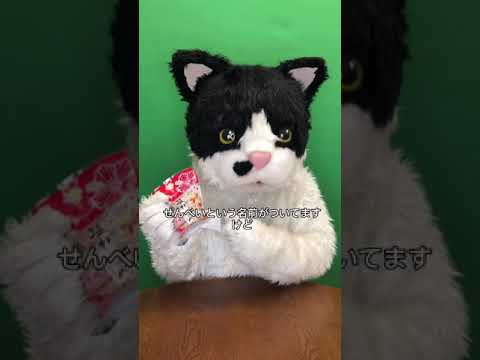 むぎ(猫)「沖縄こんちくわシリーズvol.2塩せんべい」