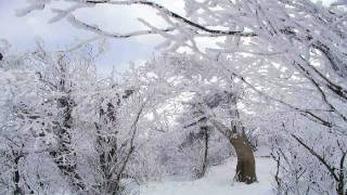Le quattro stagioni [The Four Seasons], Violin Concerto in F minor Op.8 No.4 RV297, 'Winter' : I Allegro non molto