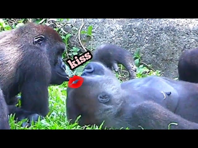 Jabali Loves His Mom So Much—The Sweetest Mama’s Boy!❤️💋呷百二超愛媽媽，根本是最甜的媽寶！