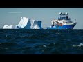First-ever footage of juvenile colossal squid captured in remote South Atlantic  - 01:12 min - News - Video
