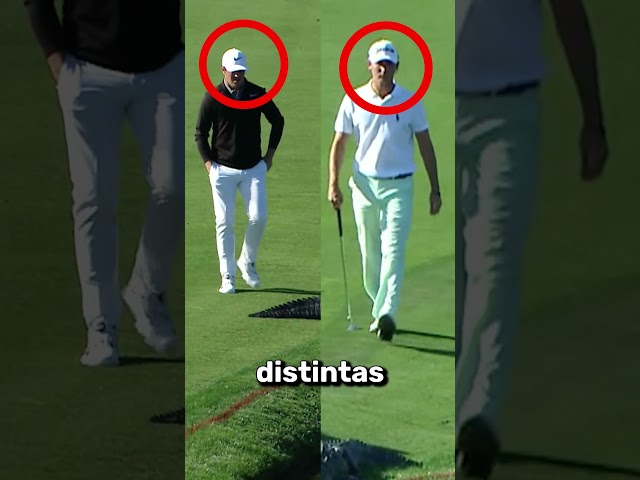 Dos reacciones muy distintas 😮🐊