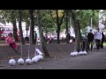 sPins: Choreographing architectural gestures in urban spaces