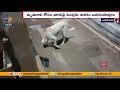 Pet dog waits on bridge after owner commits suicide jumping into Godavari