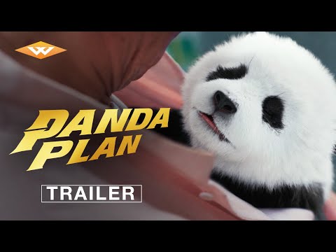 Panda Plan'