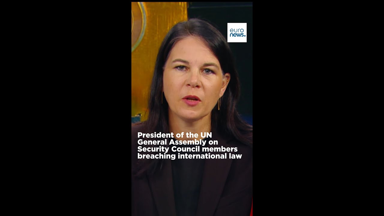 Is The UN Incapacitated?
