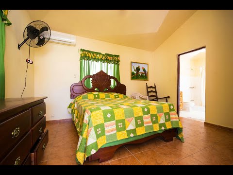 Property video